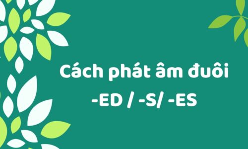 Cách phát âm Ed, S, Es (cực chuẩn) trong tiếng Anh
