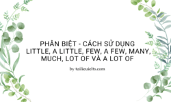 Phân biệt - cách sử dụng Little, A Little, Few, A Few, Many, Much, Lot of và A Lot of