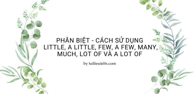 Phân biệt - cách sử dụng Little, A Little, Few, A Few, Many, Much, Lot of và A Lot of