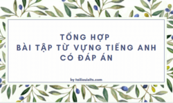 Tổng hợp bài tập từ vựng tiếng Anh có đáp án