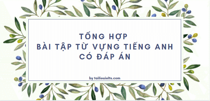 Tổng hợp bài tập từ vựng tiếng Anh có đáp án