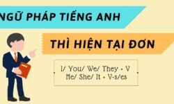 Thì Hiện tại đơn – Công thức, cách dùng, bài tập và đáp án chi tiết