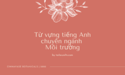 Từ vựng tiếng Anh chuyên ngành Môi trường