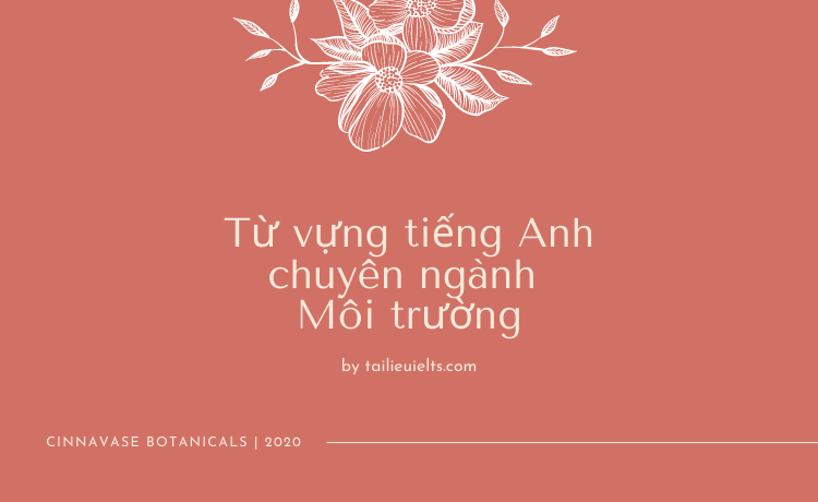 Từ vựng tiếng Anh chuyên ngành Môi trường