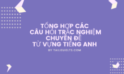 Tổng hợp các câu hỏi trắc nghiệm chuyên đề từ vựng tiếng Anh