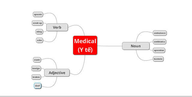 Cách tạo sơ đồ tư duy học từ vựng tiếng Anh