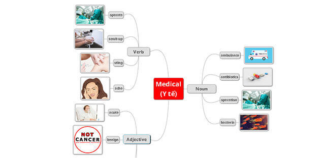 Cách tạo sơ đồ tư duy học từ vựng tiếng Anh