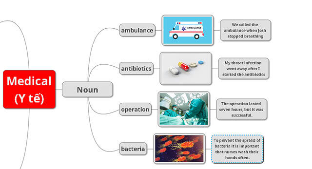 Cách tạo sơ đồ tư duy học từ vựng tiếng Anh