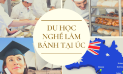 Du học nghề làm bánh tại Úc – Điều kiện và trường học 2024