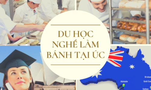 Du học nghề làm bánh tại Úc - Điều kiện và trường học 2025
