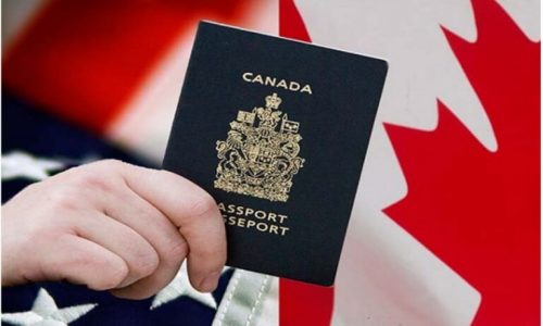 Hướng dẫn xin visa Canada tự túc 2024