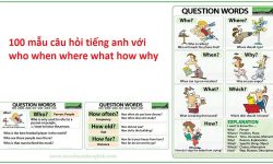 100 mẫu câu hỏi tiếng anh với who when where what how why