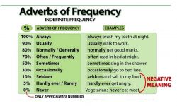các trạng từ chỉ tần suất trong tiếng anh