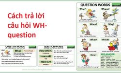 cách trả lời câu hỏi wh-question