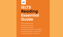 Download Ebook IELTS Reading Essential Guide PDF Free