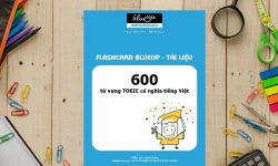 Download Flashcard 600 từ vựng TOEIC PDF có nghĩa tiếng Việt Free