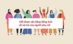 Viết đoạn văn bằng tiếng Anh về vai trò của người phụ nữ