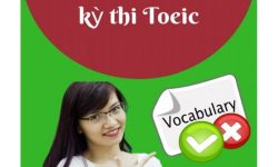 Download sách 3000 từ vựng TOEIC PDF miễn phí mới nhất