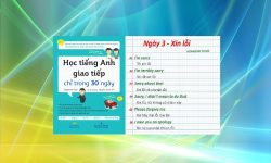 Tải sách Học tiếng Anh giao tiếp chỉ trong 30 ngày (PDF+Audio) Free