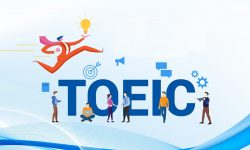 Lộ trình học TOEIC cho người mới bắt đầu