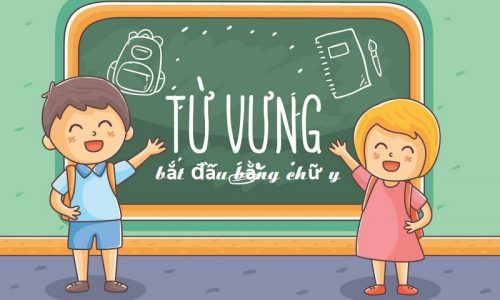 Những từ tiếng Anh bắt đầu bằng chữ Y: cách đọc, ý nghĩa