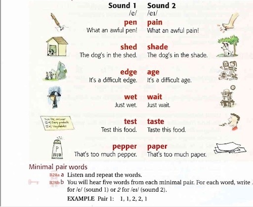 Review & Download Ship or Sheep (PDF+Audio) miễn phí