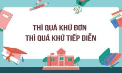 Phân biệt thì quá khứ đơn và quá khứ tiếp diễn sao kèm bài tập