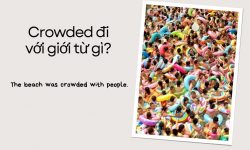 Crowded đi với giới từ gì