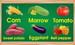 Từ vựng tiếng Anh về rau củ quả có phiên âm