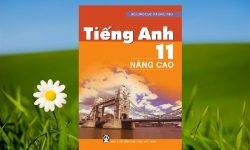 Download sách giáo khoa tiếng Anh 11 nâng cao PDF miễn phí