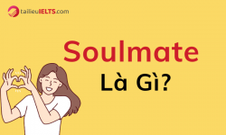 Soulmate là gì