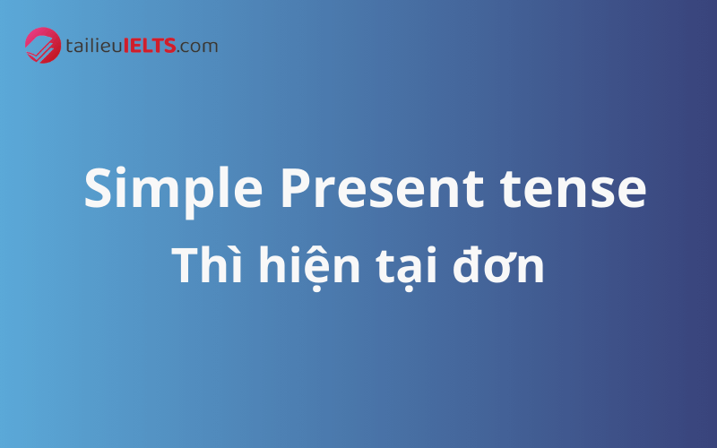 Thì hiện tại đơn- Simple Present tense