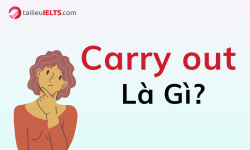 Carry out là gì