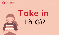 Take in là gì