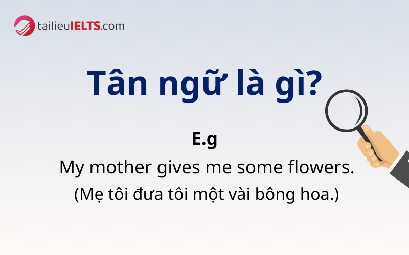 Tân ngữ là gì?