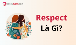 Respect là gì