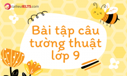 bài tập câu tường thuật lớp 9