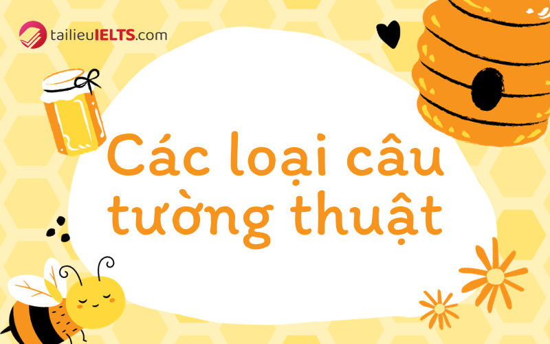 cac loai cau tuong thuat